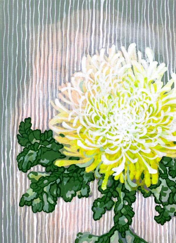 Chrysantheme – Bild 4