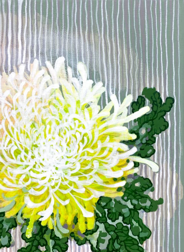 Chrysantheme – Bild 5